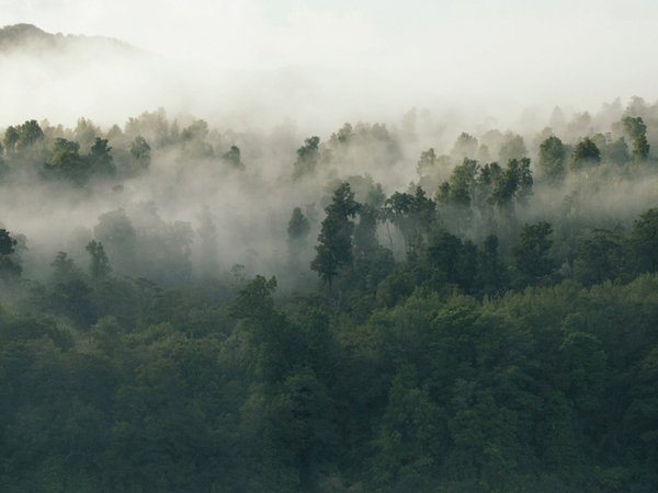 Chceme chrániť prírodu pre ďalšie generácie klimaticky neutrálnou výrobou