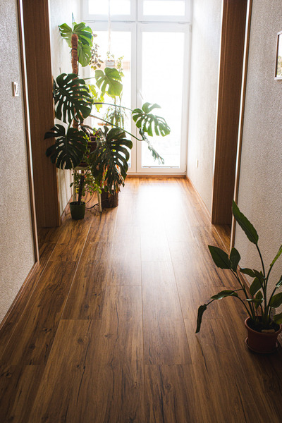 SPC Kompozitná podlaha Parador Basic 5.3 Dub memory prírodný