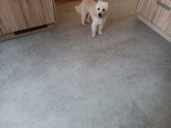 Realizácia kompozitnej podlahy PARADOR SPC Betón sivý P1744817