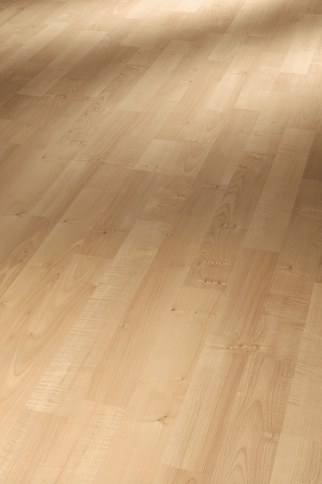 Parador Basic 200 Javor prírodný 1426411, Laminátová podlaha 7 mm AC3